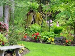 How to Make Your Garden Your Summer Retreat